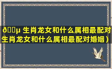 🐵 生肖龙女和什么属相最配对（生肖龙女和什么属相最配对婚姻）